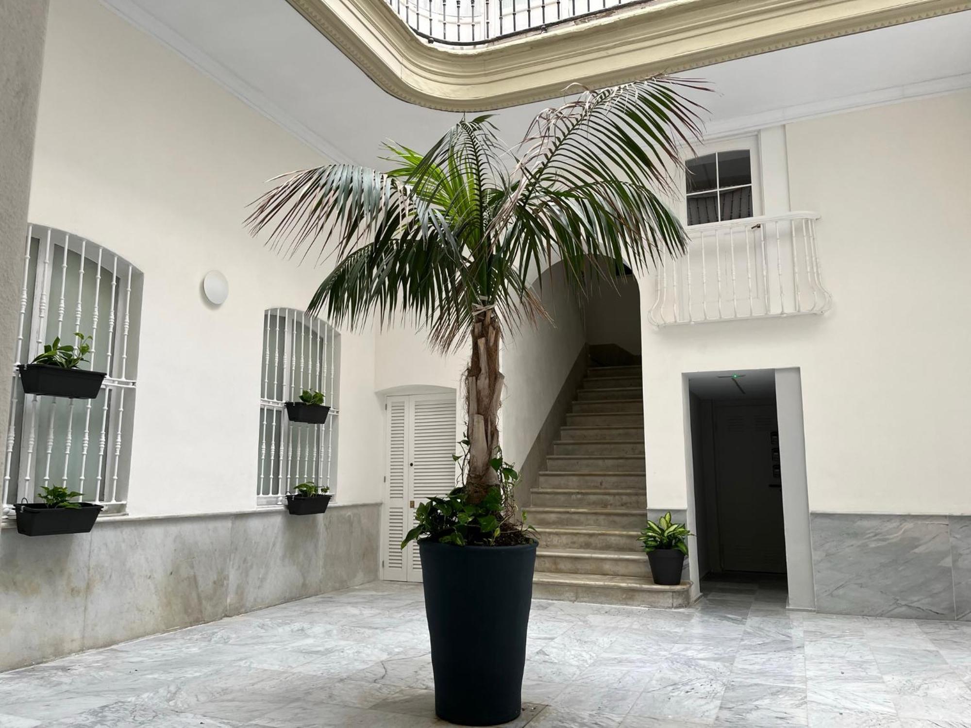Estudio Amor Brujo By Cadiz4Rentals Dış mekan fotoğraf
